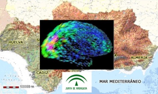 ANDALUCIA PUBLICA 20
