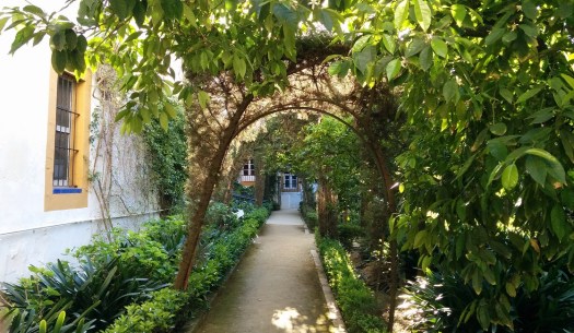 PATIO LIMONEROS DUENAS1